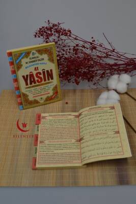 Bilgisayar Hatlı Türkçe Okunuşlu Sesli ve Mealli 41 Yasin Dua Kitabı Çanta Boy - 3