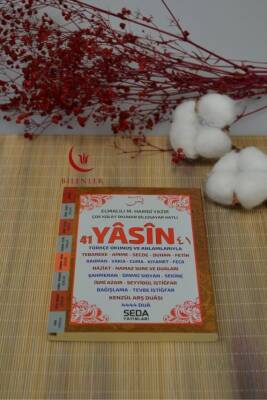 Çok Kolay Okunan Bilgisayar Hatlı 41 Yasin Cami Boy - 1