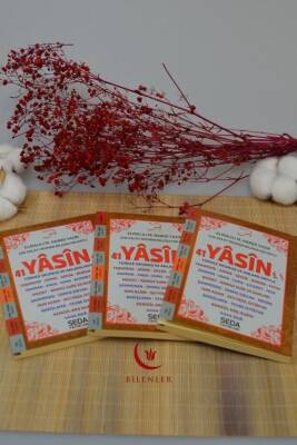 Çok Kolay Okunan Bilgisayar Hatlı 41 Yasin Rahle Boy - 4