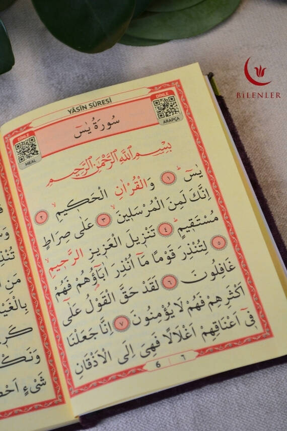Kutulu 128 Sayfa Kadife Yasin ve İnci Tesbih Seti Mor - 5